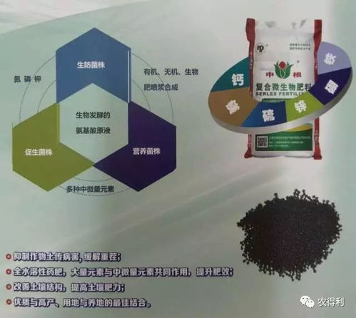 作物根系问题 想要有高产高效 想要解决土壤问题 用申根微生物复合肥