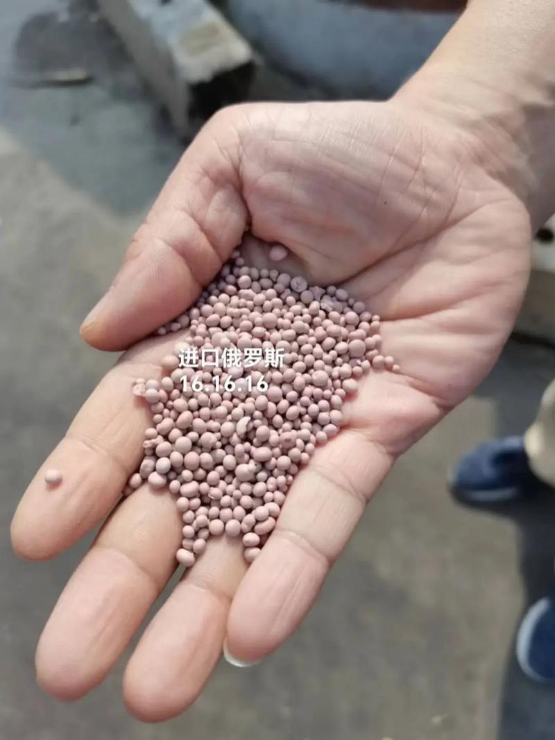 俄罗斯罗素施集团 全球肥料供应商的品质坚守与复合肥发展