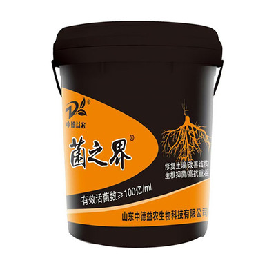 广西中德益农工厂强势升级，打造全品类复合肥生产新标杆